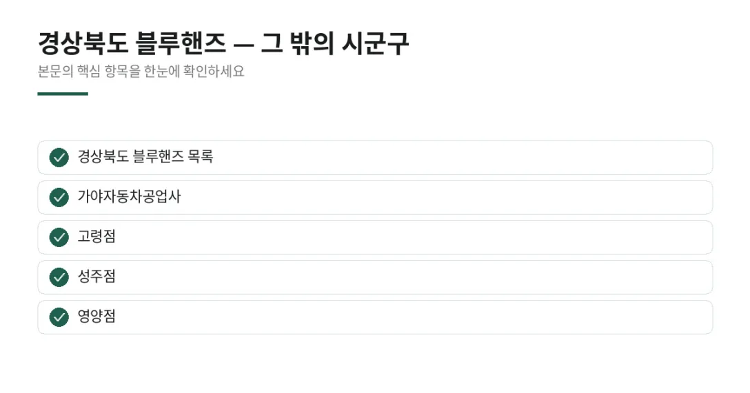 이 글에서 확인할 내용: 경상북도 블루핸즈 목록, 가야자동차공업사, 고령점, 성주점, 영양점