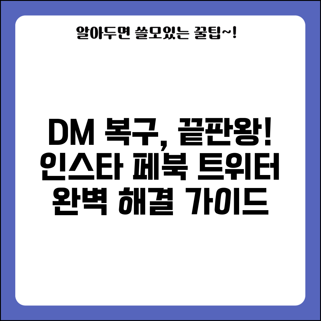 디엠 삭제 복구 SNS별 완벽 대응 | 인스타 페이스북 트위터 개인 메시지 복구 전문 가이드