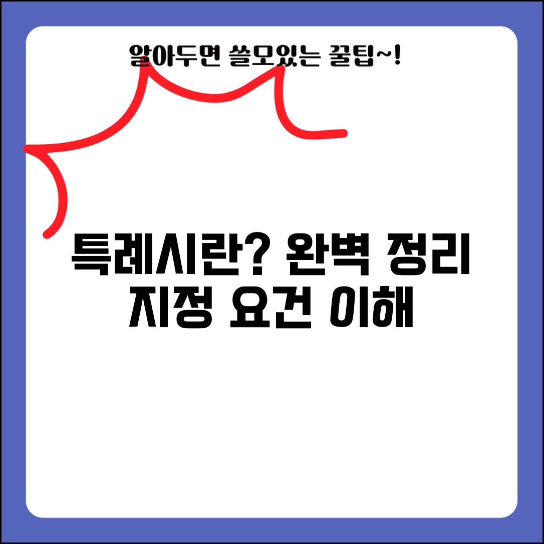 특례시 뜻 완벽 정리 | 특례시 정의와 지정 요건 이해