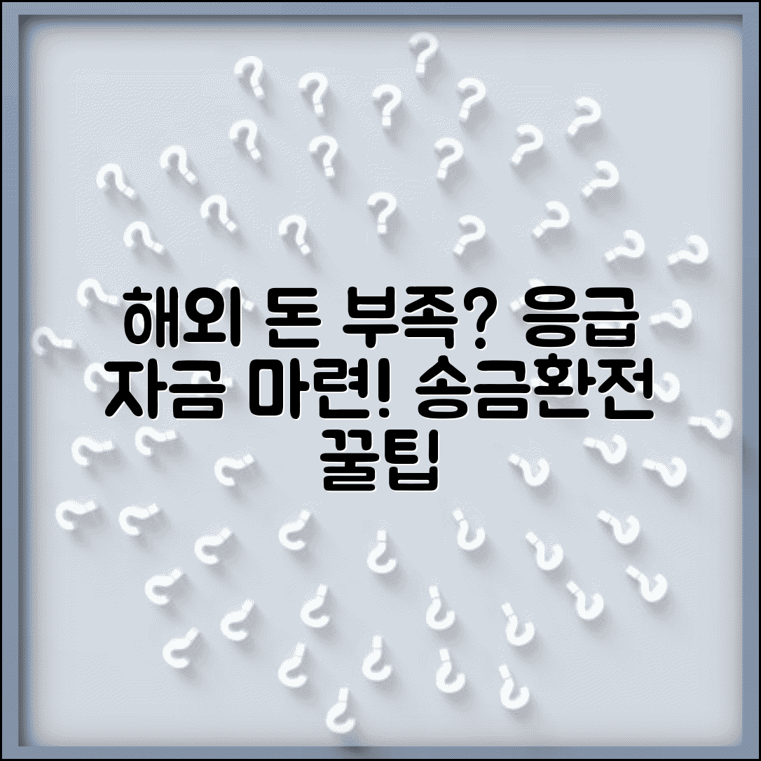 해외에서 돈 떨어지면 어떻게 하나요 | 해외 송금 | 환전 | 응급자금