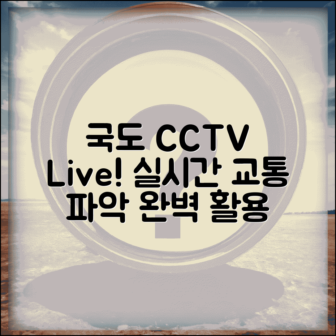 국도 CCTV | 국도 실시간 교통상황 CCTV 완벽 활용법