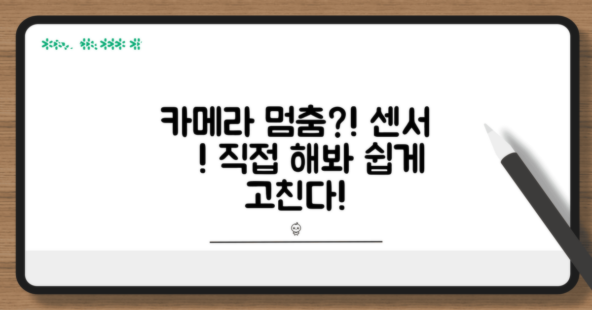 카메라 작동 안함, 센서 점검 방법