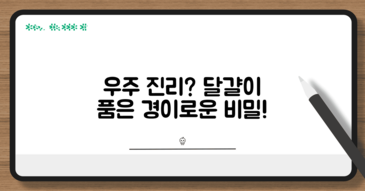 거대한 우주의 진리와 달걀의 비유